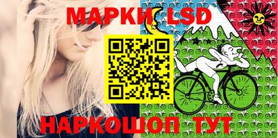 крисы Будённовск
