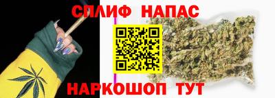 крисы Будённовск