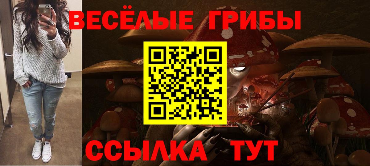 Псилоцибиновые грибы Psilocybe Протвино